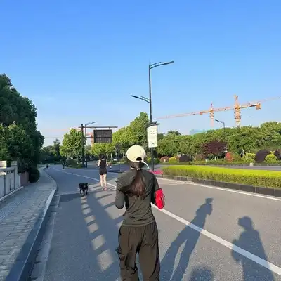 杨明致